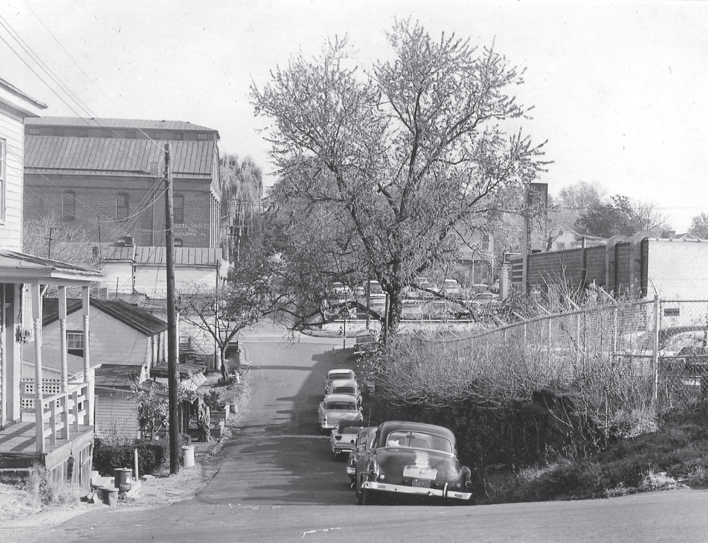 Mystery Picture Answer 2021-04-05